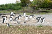 Foto: Tierra del Fuego. Gateway to the Icy Continent